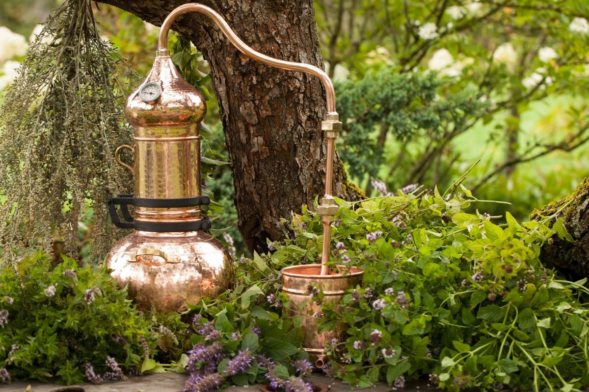 Alembic,Is,A,Distilling,Apparatus,Of,Arabic,Origin,Which,May